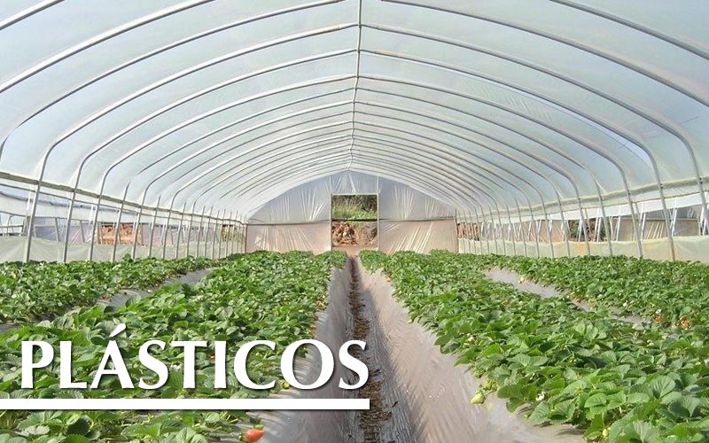 PLÁSTICOS