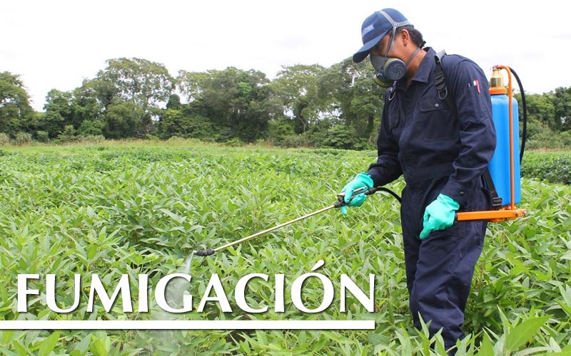 FUMIGACIÓN